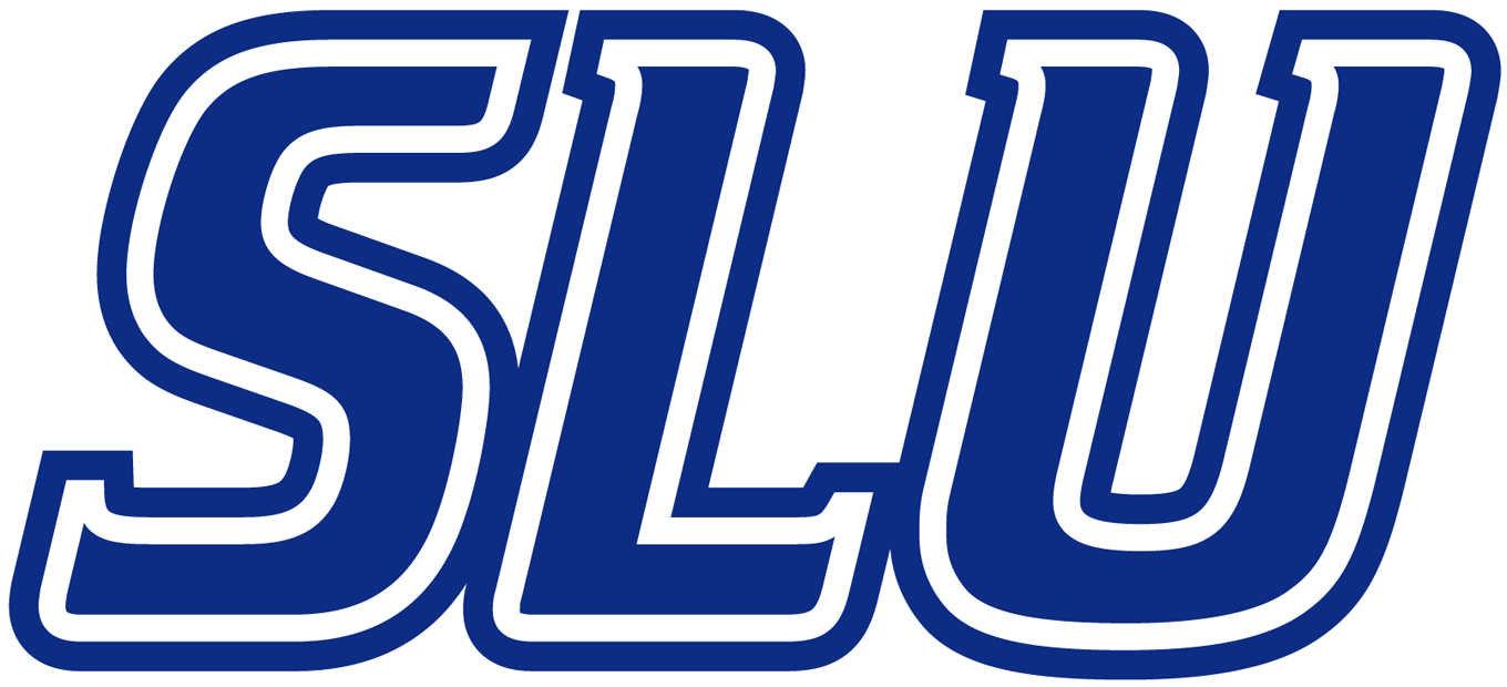 Saint Louis Billikens 2002-Pres Wordmark Logo v2 diy iron on heat transfer
